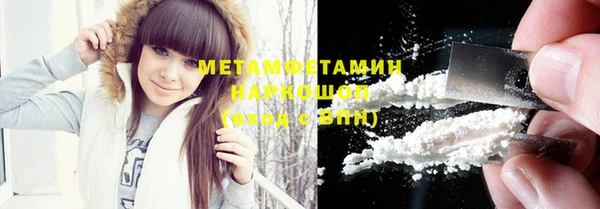 индика Богданович
