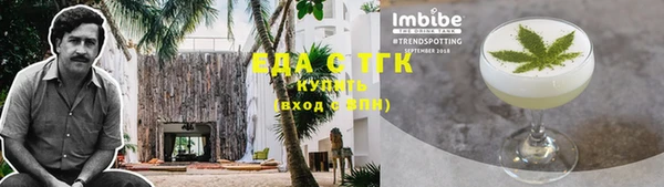 индика Богданович