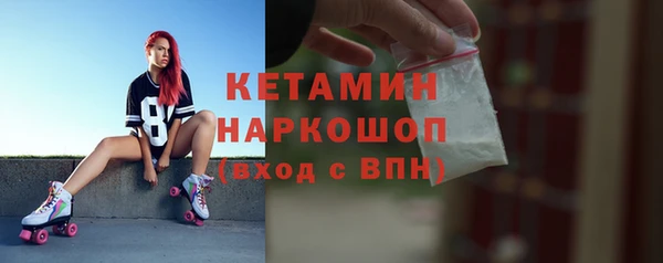 индика Богданович