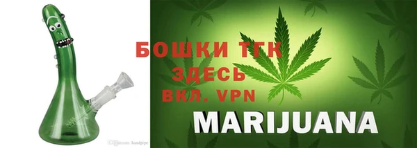 индика Богданович