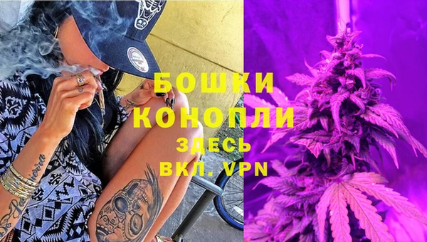 твердый Богородск