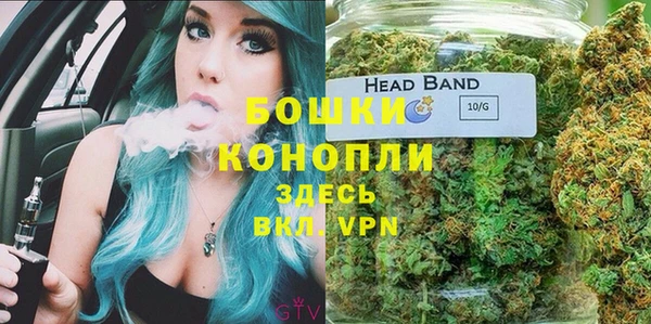 спиды Бронницы