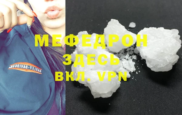 индика Богданович