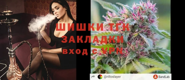 твердый Богородск
