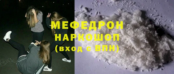 индика Богданович