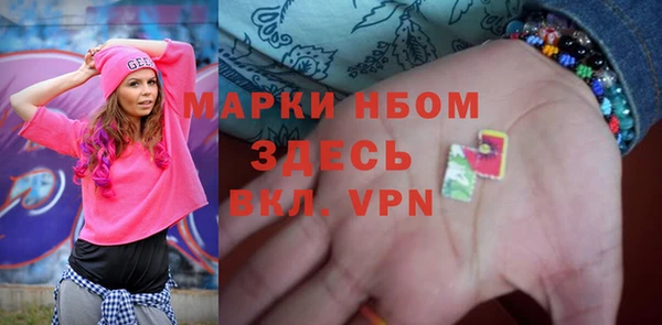индика Богданович