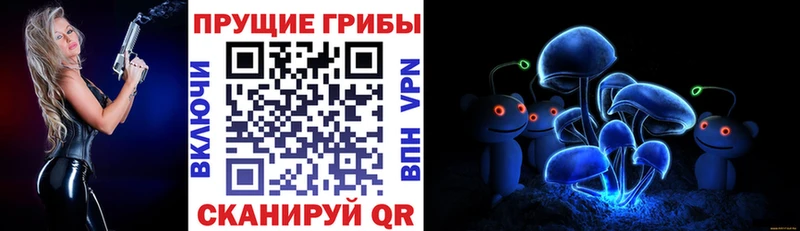 Псилоцибиновые грибы Psilocybine cubensis  купить   Вуктыл 